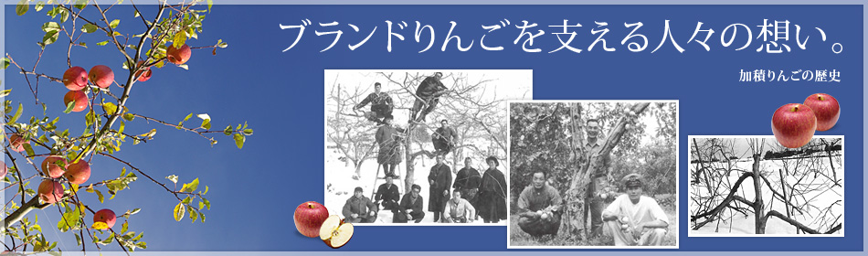 うなづき商店 加積りんごの歴史